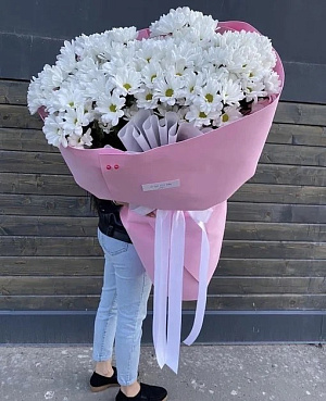 Мороженка ромашковой хризантемы 15 шт.