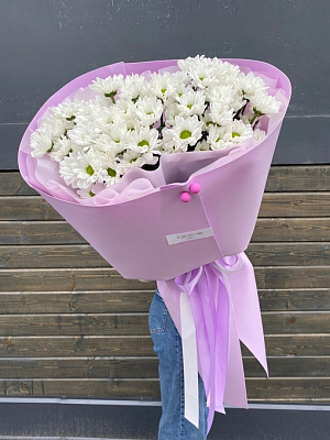 Мороженка ромашковой хризантемы 7 шт.