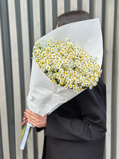 Охапка танацетума