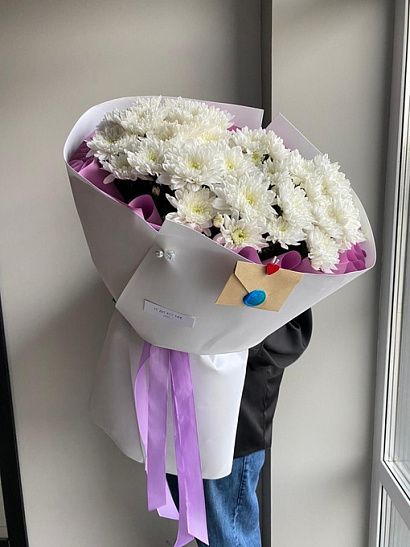 Мороженка махровой хризантемы 7 шт.