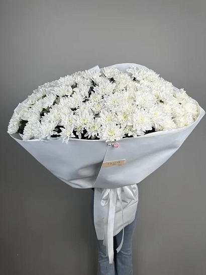 Мороженка махровой хризантемы 25 шт.