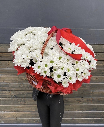 Частичка лета (ромашковая хризантема)