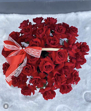 Корзина эквадорских роз