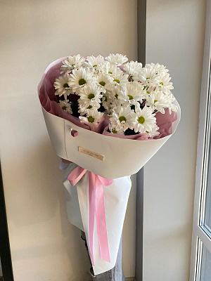 Мороженка ромашковой хризантемы 5 шт.