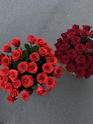 Эквадорские бордовые розы