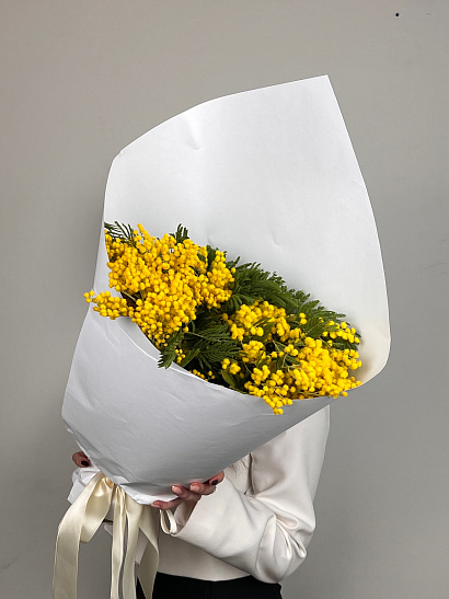Охапка мимозы