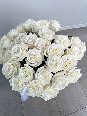 Белые эквадорские розы без оформления