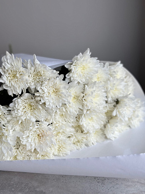 Охапка махровой хризантемы