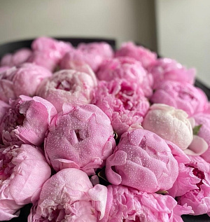 Идеальное сочетание нежных пионов и стильного оформления