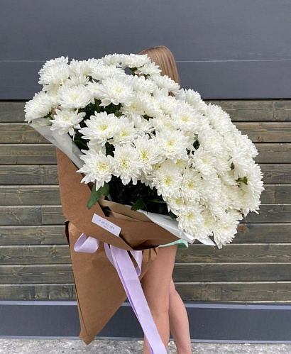 Гигант махровой хризантемы