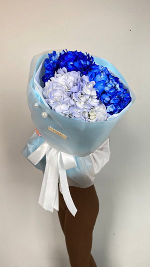 Гортензии в голубых оттенках