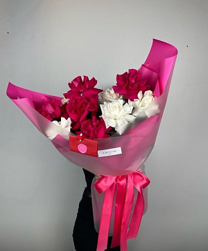 Вывернутые белые и малиновые эквадорские розы