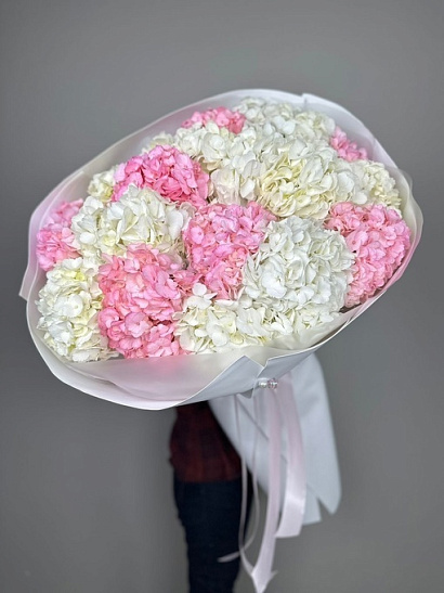Бело-розовые гортензии 15 шт.
