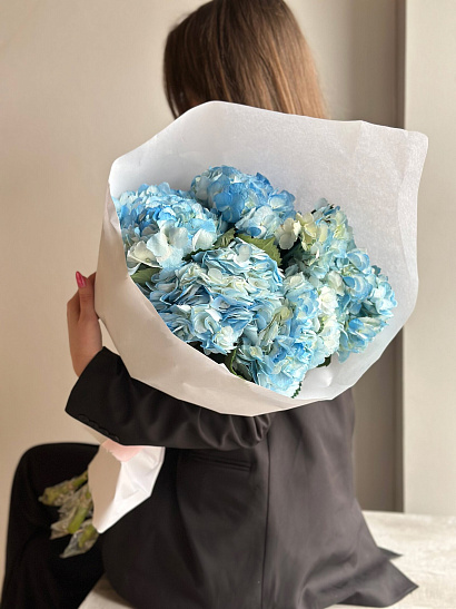 Охапка голубых колумбийских гортензий