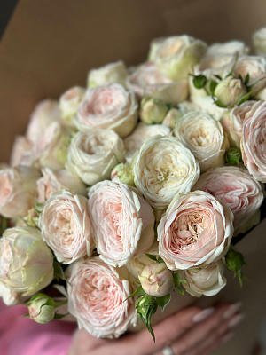 Охапка кустовой пионовидной розы Mansfield Park 50 см