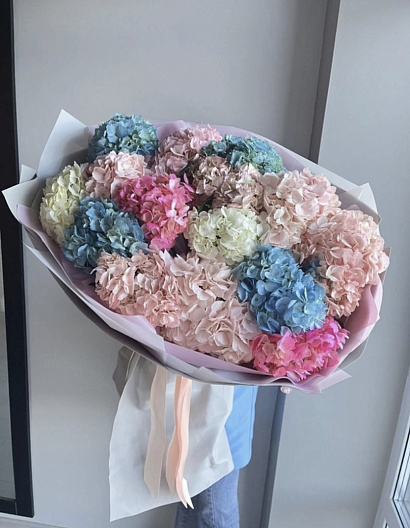 Госпожа Гортензия