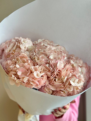 Охапка розовых колумбийских гортензий