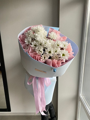 Мороженка ромашковой хризантемы 5 шт.