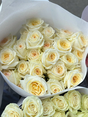 Охапка пионовидной эквадорской розы Candelight 60 см