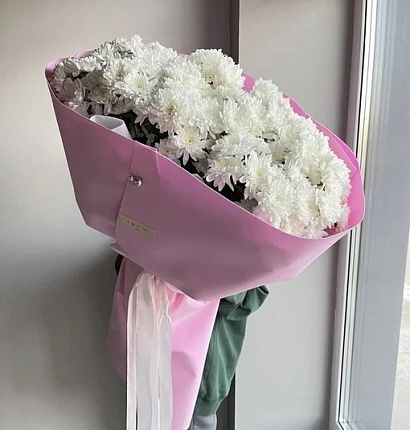 Мороженка махровой хризантемы 15 шт.