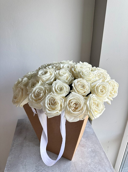 Белые эквадорские розы без оформления