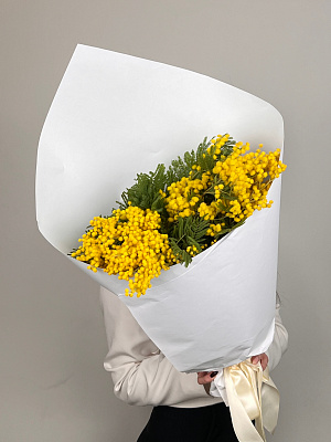 Охапка мимозы