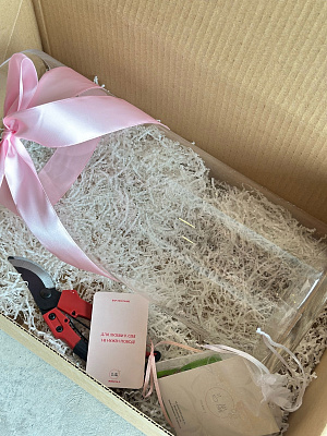 Бокс с вазой и секатором