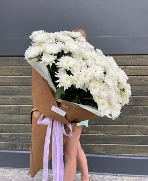 Гигант махровой хризантемы