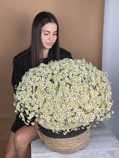 Ромашки 99 шт в корзине