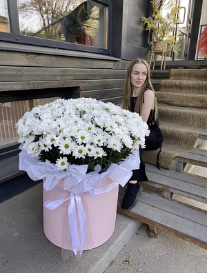 Big коробка ромашковой хризантемы