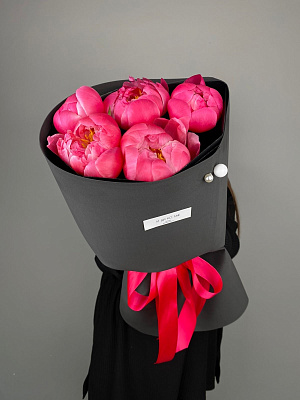 Коралловые пионы 5 шт.