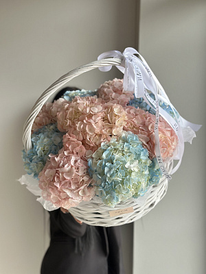 Авторская корзина гортензий разных цветов