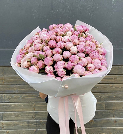 Пионы 101 шт.