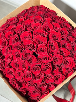 101 роза без оформления