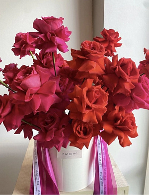 Вспышка чувств