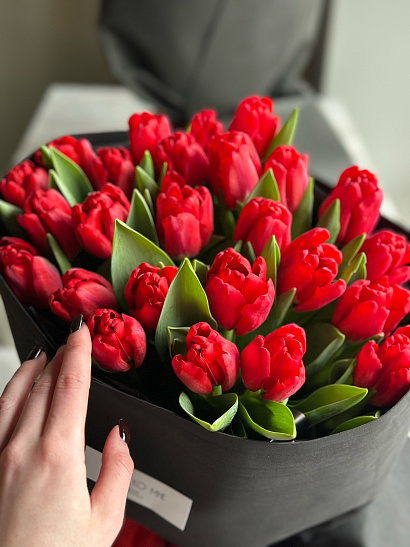 Красные тюльпаны в чёрном оформлении 25 шт.