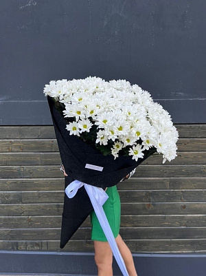 Гигант ромашковой хризантемы 15 шт.