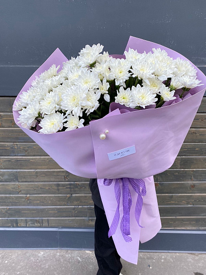 Мороженка махровой хризантемы 11 шт.