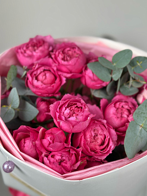 Кустовые пионовидные розы цвета "фуксия"