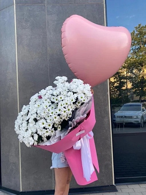 Мороженка ромашковой хризантемы 25 шт.